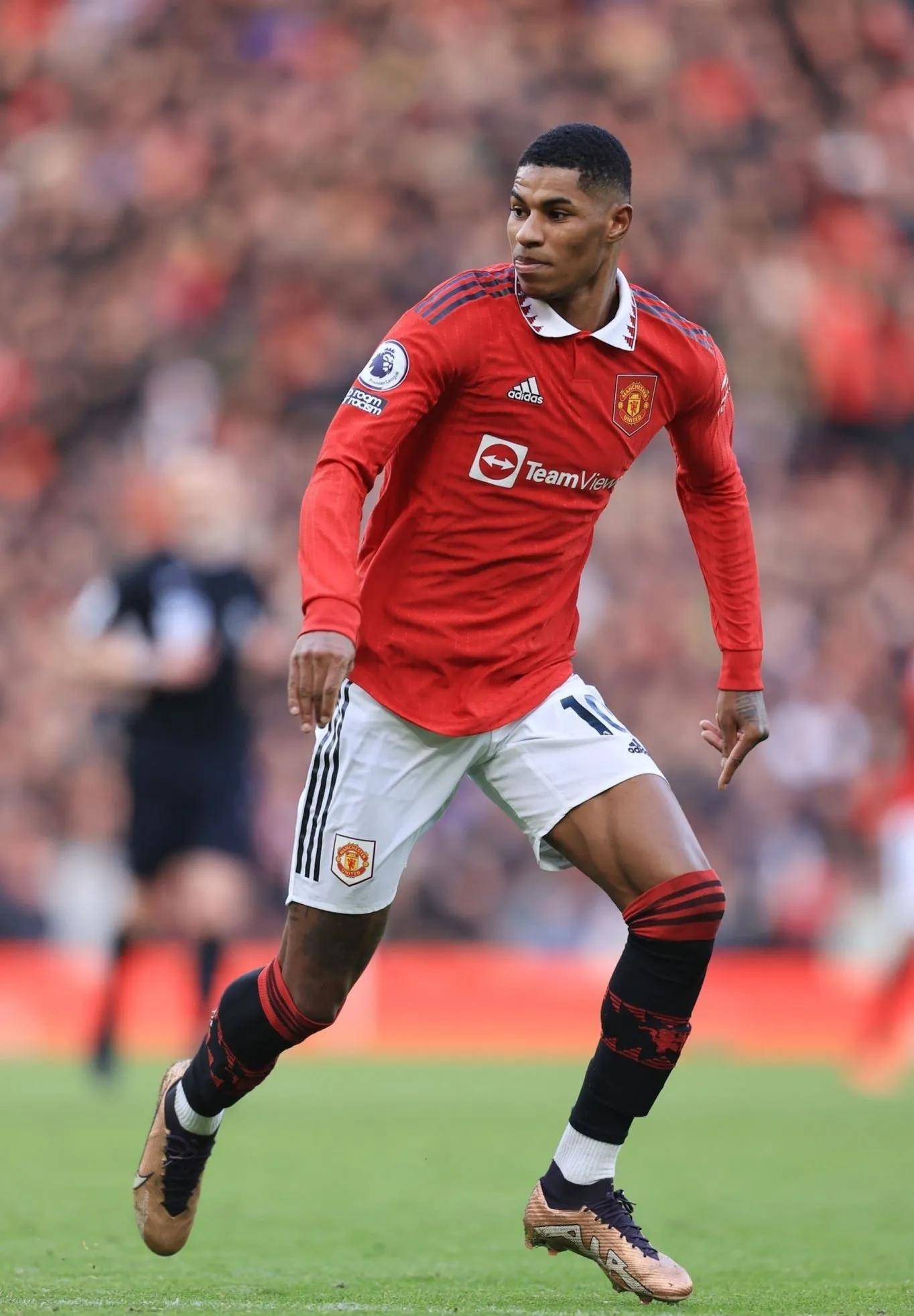 球的新星 球的新星